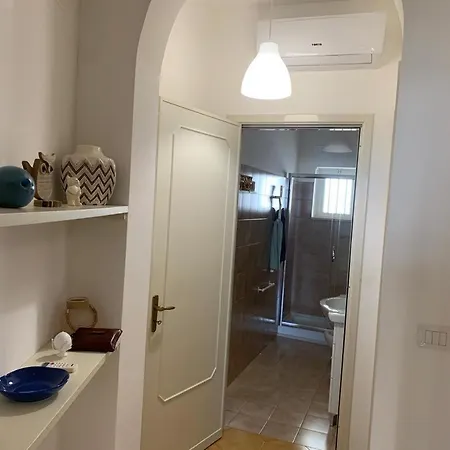 Sofia S House